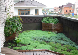 Озеленение крыш